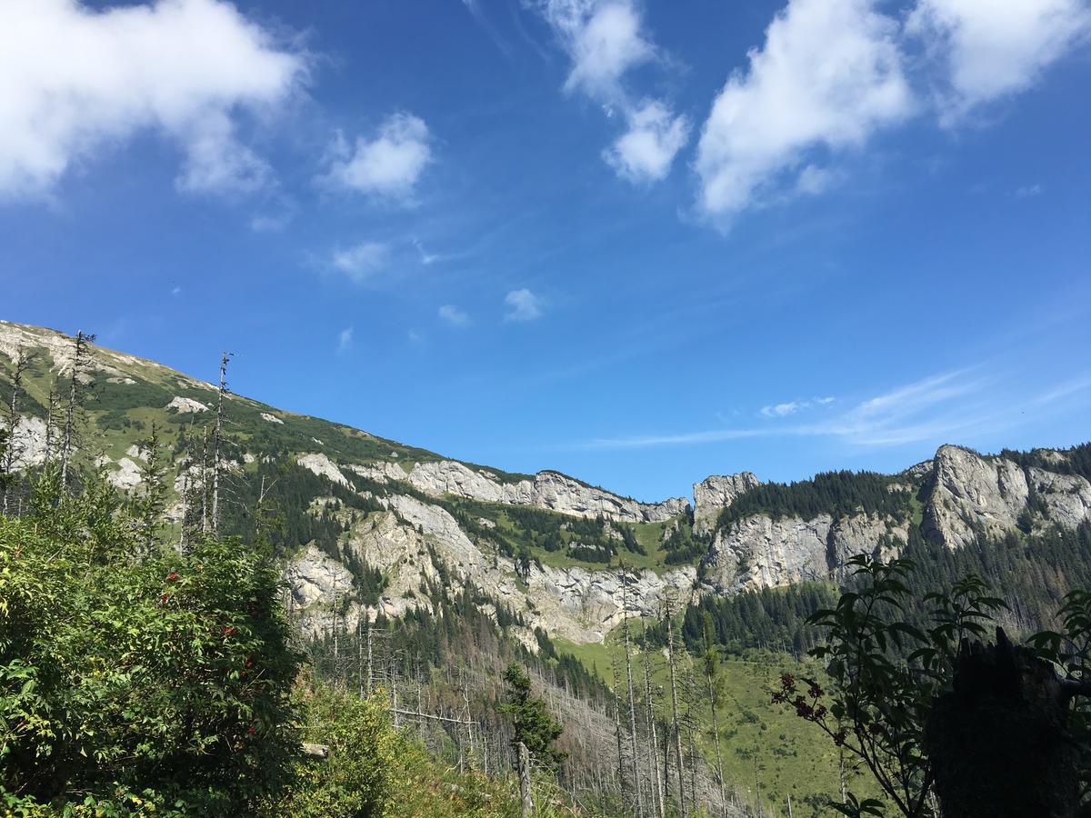 Central Apartmany Wysokie Tatry Zewnętrze zdjęcie